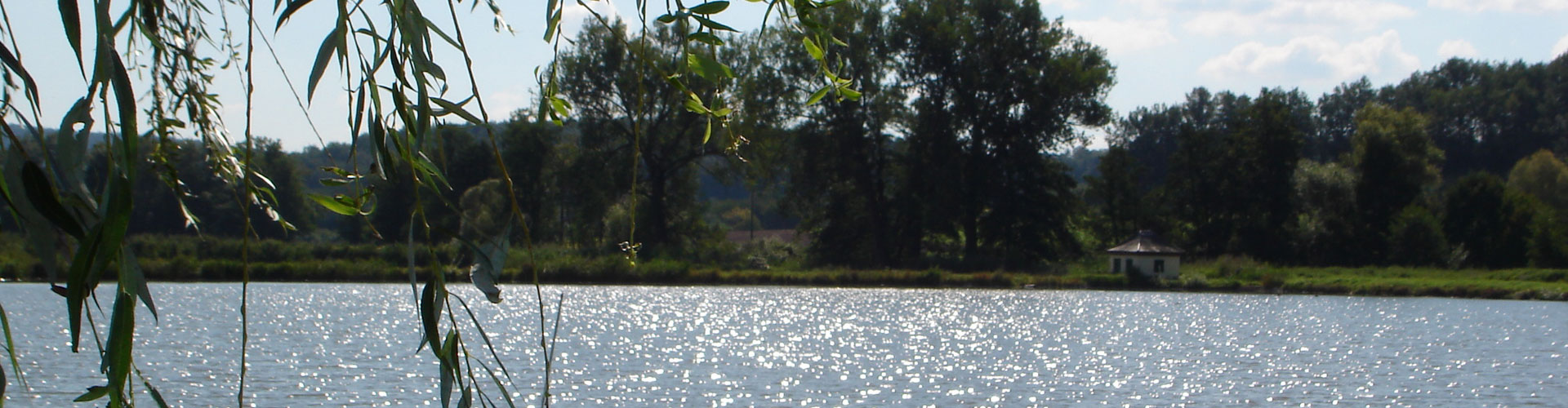 Header Windfeldersee